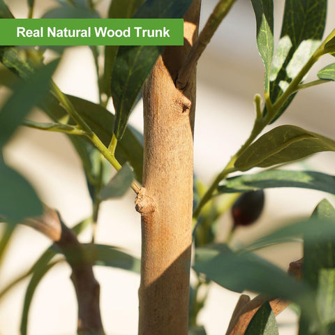 Kazeila heavy base pot provides stability for the tree.