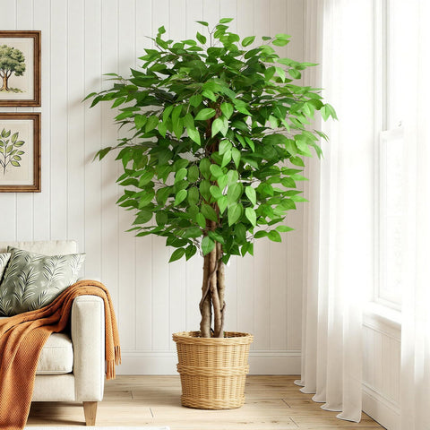 Keeplush 5ft ficus artificial tree with natural curved trunks for elegant indoor greenery.