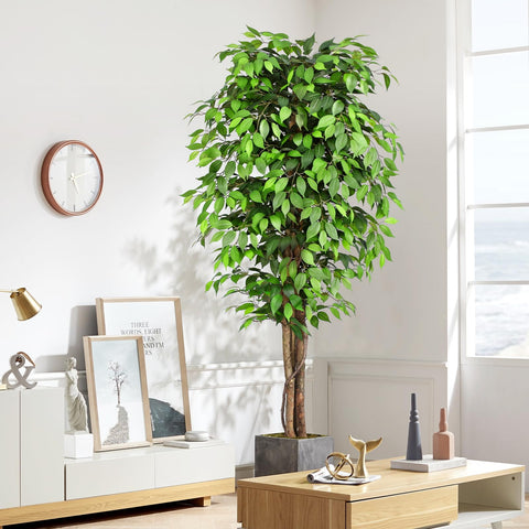 Keeplush 84-inch tall ficus tree suitable for living rooms and offices.