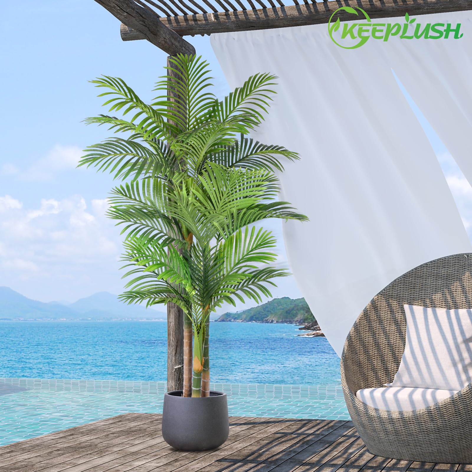 Keeplush 9-inch black plastic pot provides stable base.