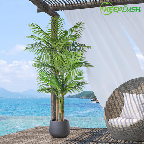 Keeplush 9-inch black plastic pot provides stable base.