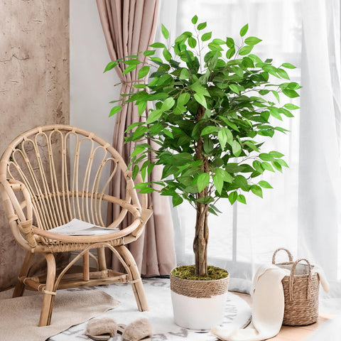 Keeplush water-free ficus tree offers maintenance-free greenery for offices.