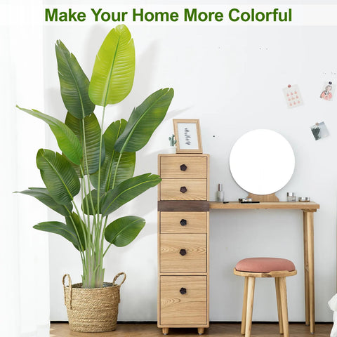Keeplush versatile indoor decor suitable for living rooms and offices.
