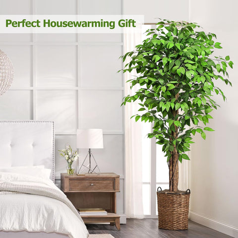 Keeplush ficus tree branches are adjustable for customization