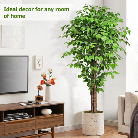 Keeplush ficus tree with dried moss detail for natural look