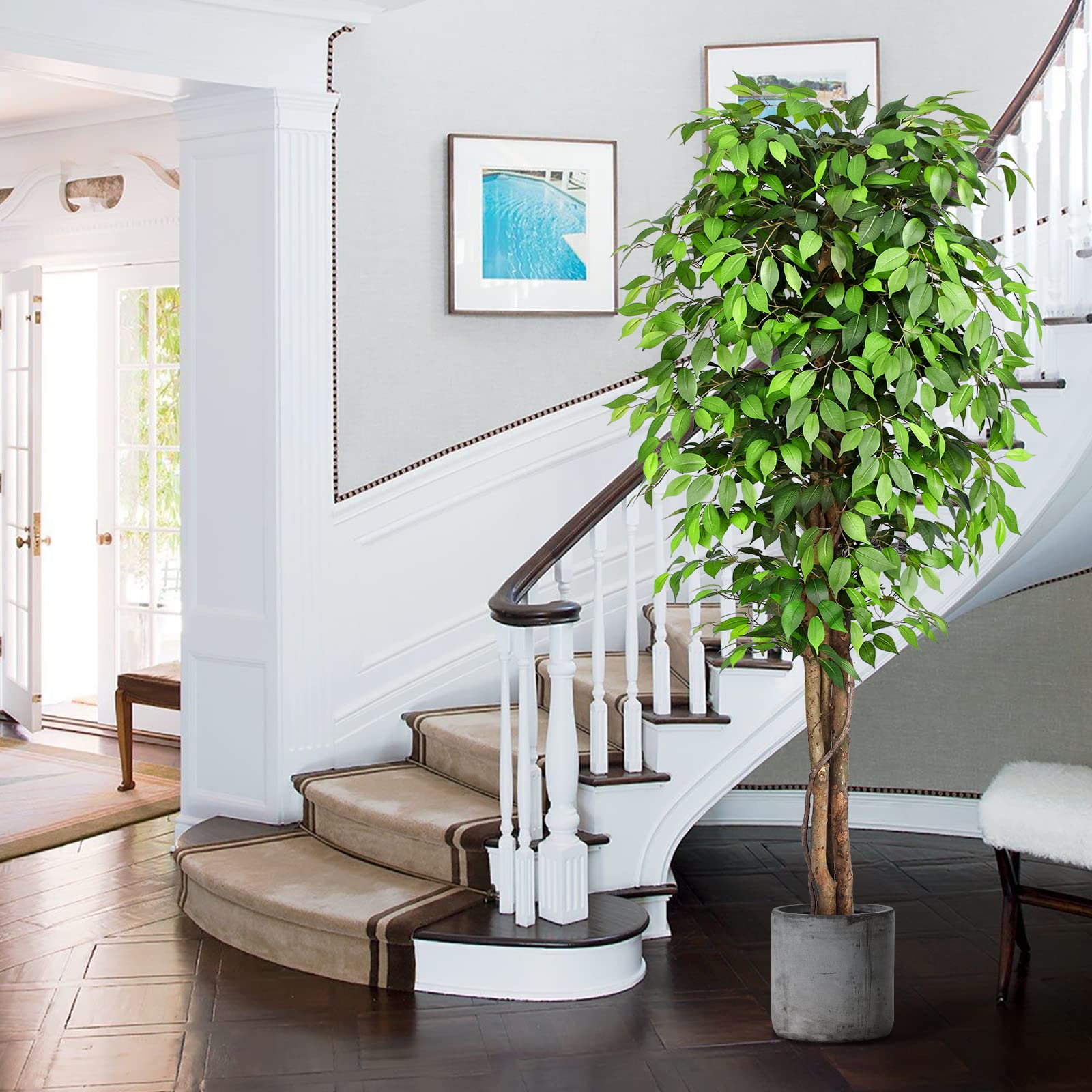 Keeplush ficus tree with real dried moss detail for authentic texture.