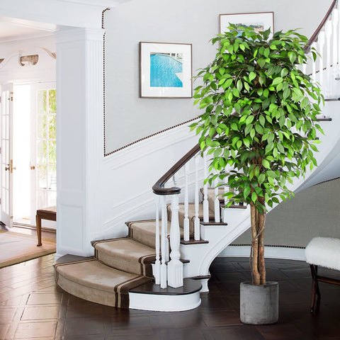 Keeplush ficus tree with real dried moss detail for authentic texture.