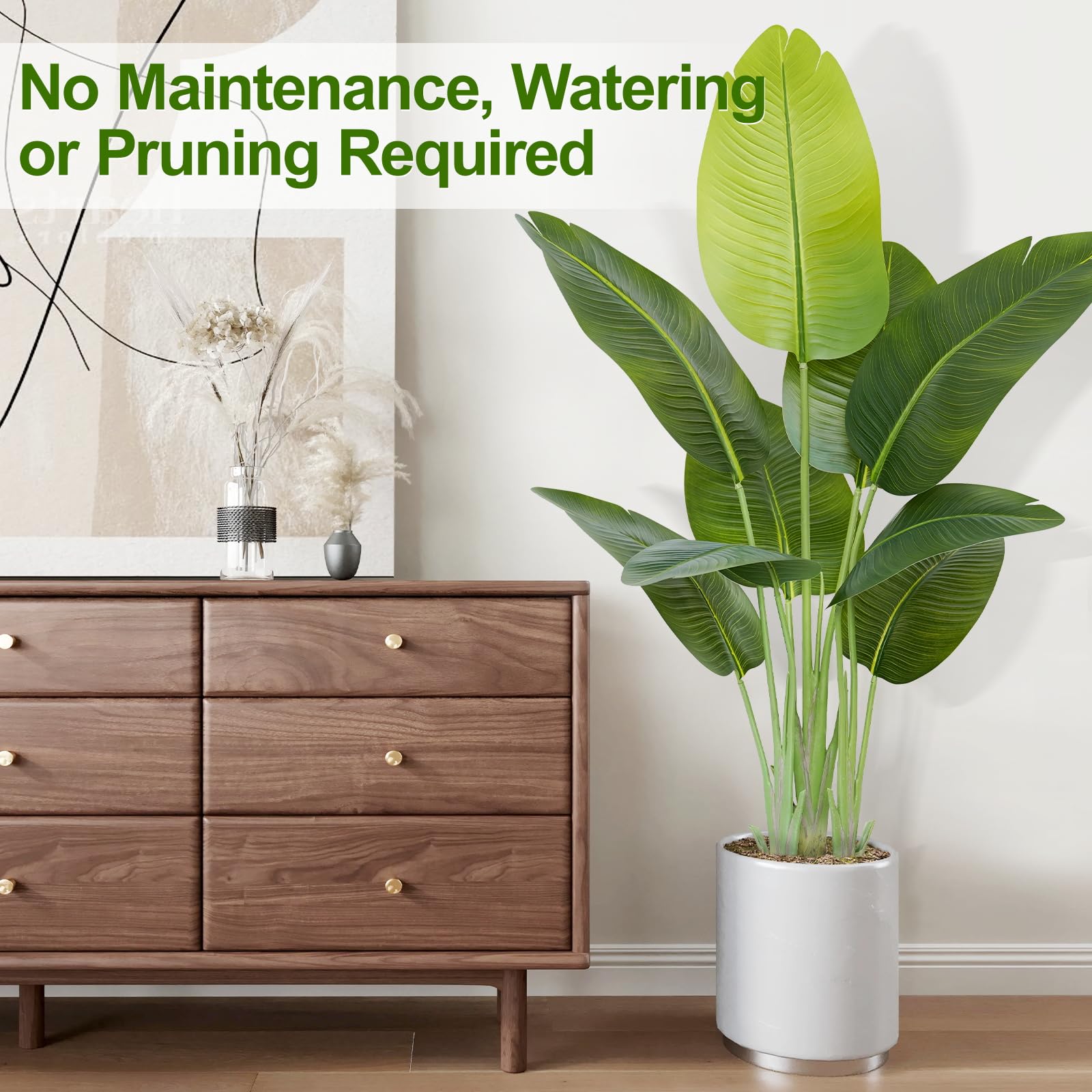 Keeplush low-maintenance indoor plant ideal for busy households
