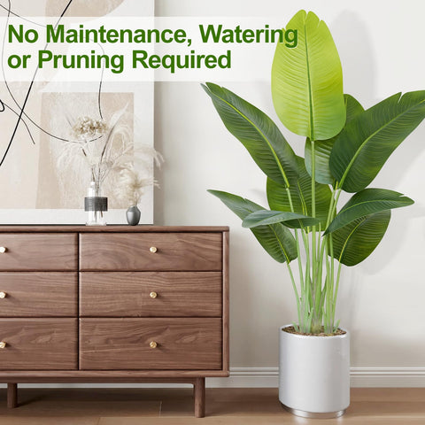 Keeplush low-maintenance indoor plant ideal for busy households