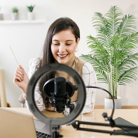 Keeplush UV-resistant leaves ensure year-round sunlit vibe indoors or outdoors.