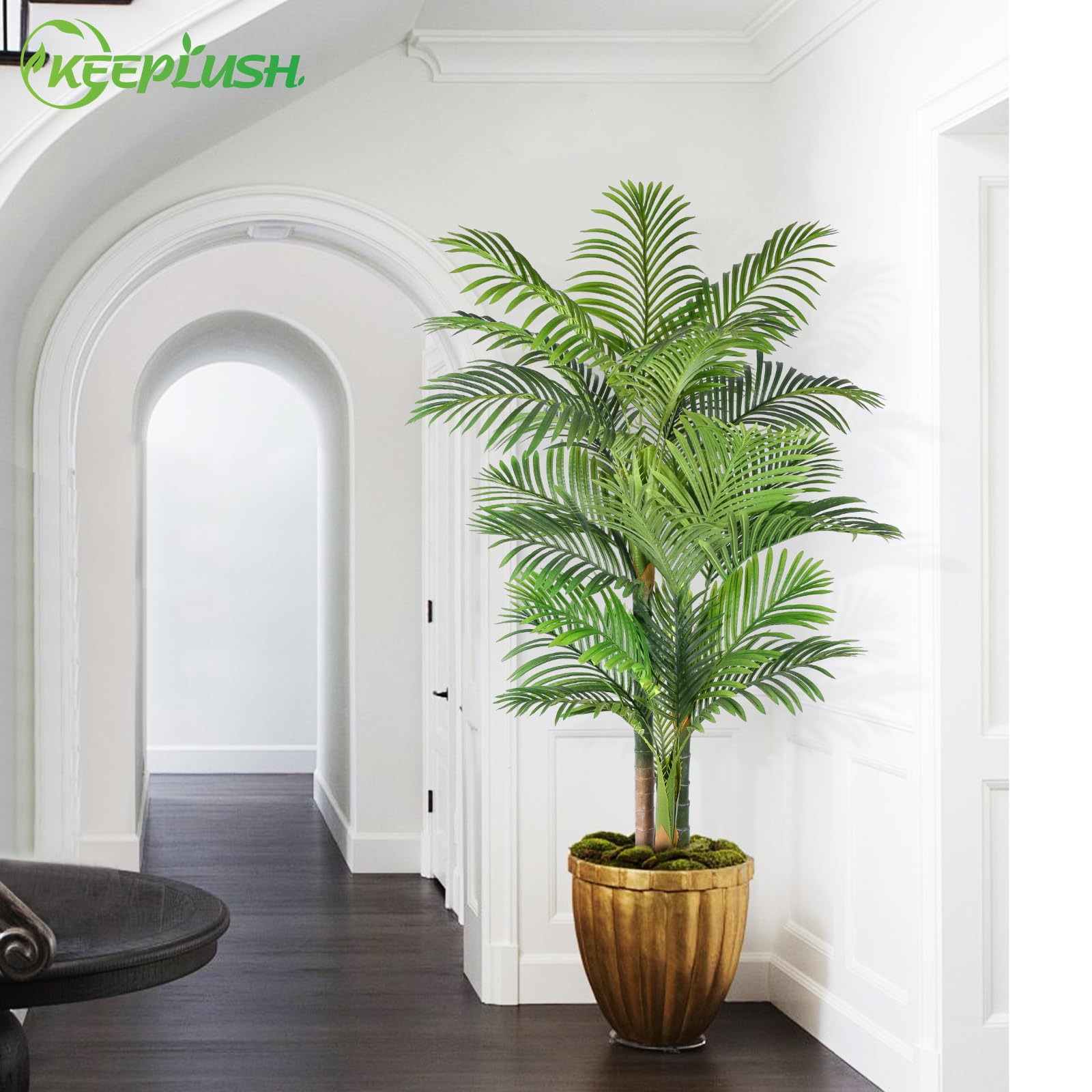 Keeplush trunk with light-ready design for evening ambiance.