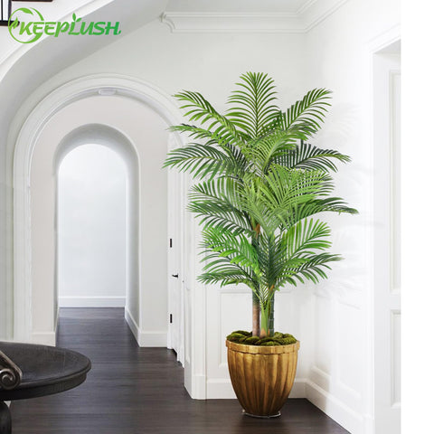 Keeplush trunk with light-ready design for evening ambiance.