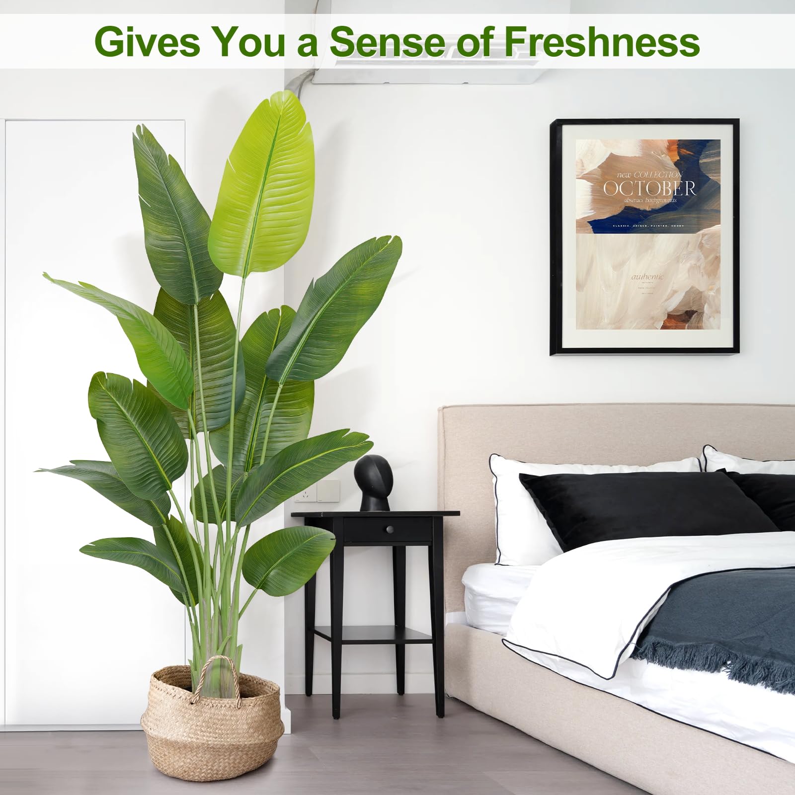 Keeplush low-maintenance plant adds year-round greenery to any space.