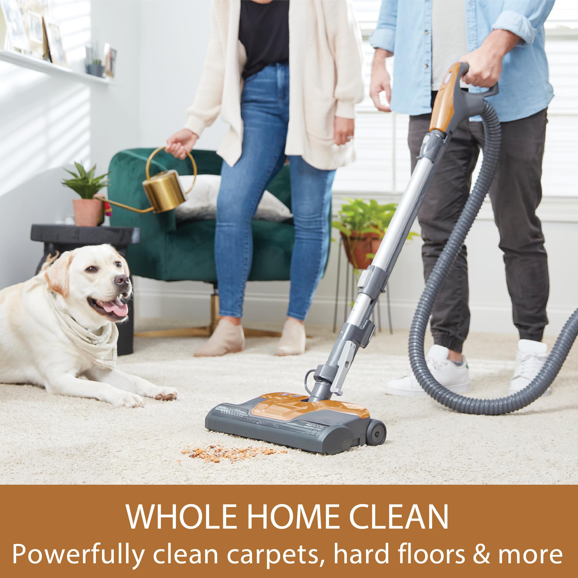 Kenmore BC4040 dual-motor system for thorough all-floor cleaning