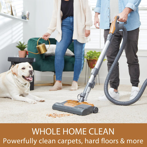 Kenmore BC4040 dual-motor system for thorough all-floor cleaning