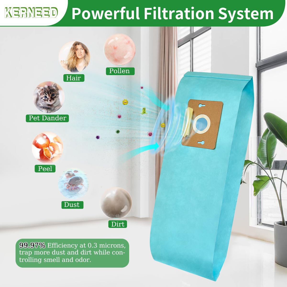 Kerneed 12-pack Type F bags provides value and ongoing replacements.