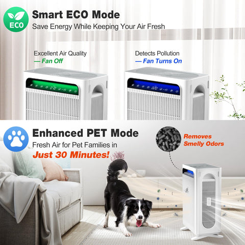 KNKA air purifier dual inlet and outlet design accelerates air circulation for faster refresh.