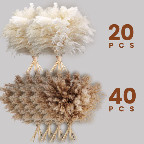Kocat boho pampas grass decor enhances living room styling on a table.