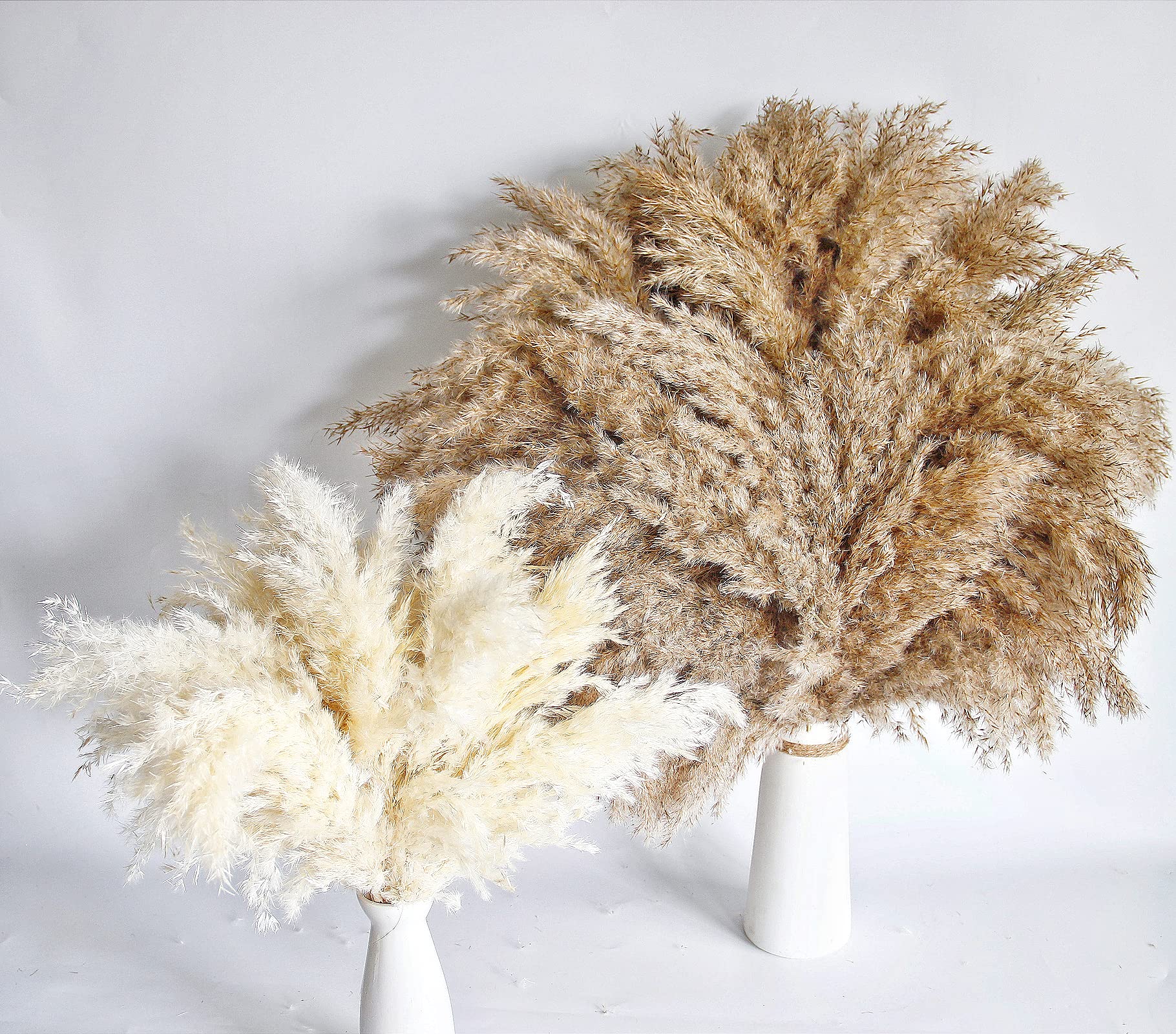 Kocat dried pampas plumes for warm autumn vibes in any space.