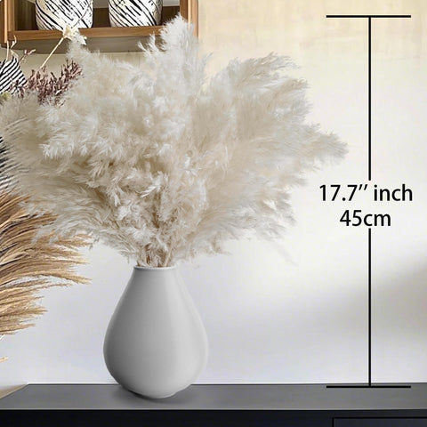 Kocat pampas grass arch backdrop for elegant ceremonies and events