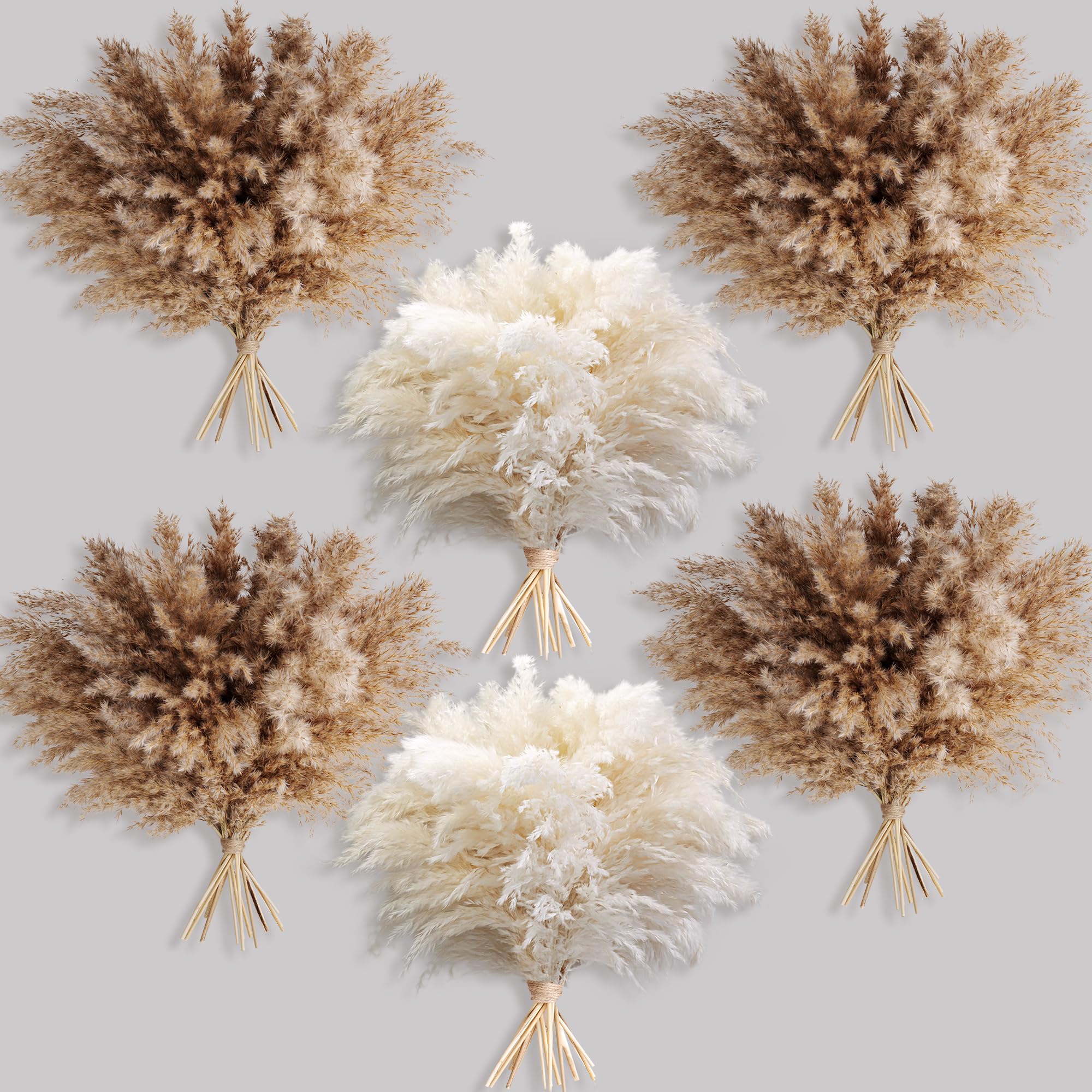Kocat pampas grass brown and white 60pcs adds natural texture for boho shelves.