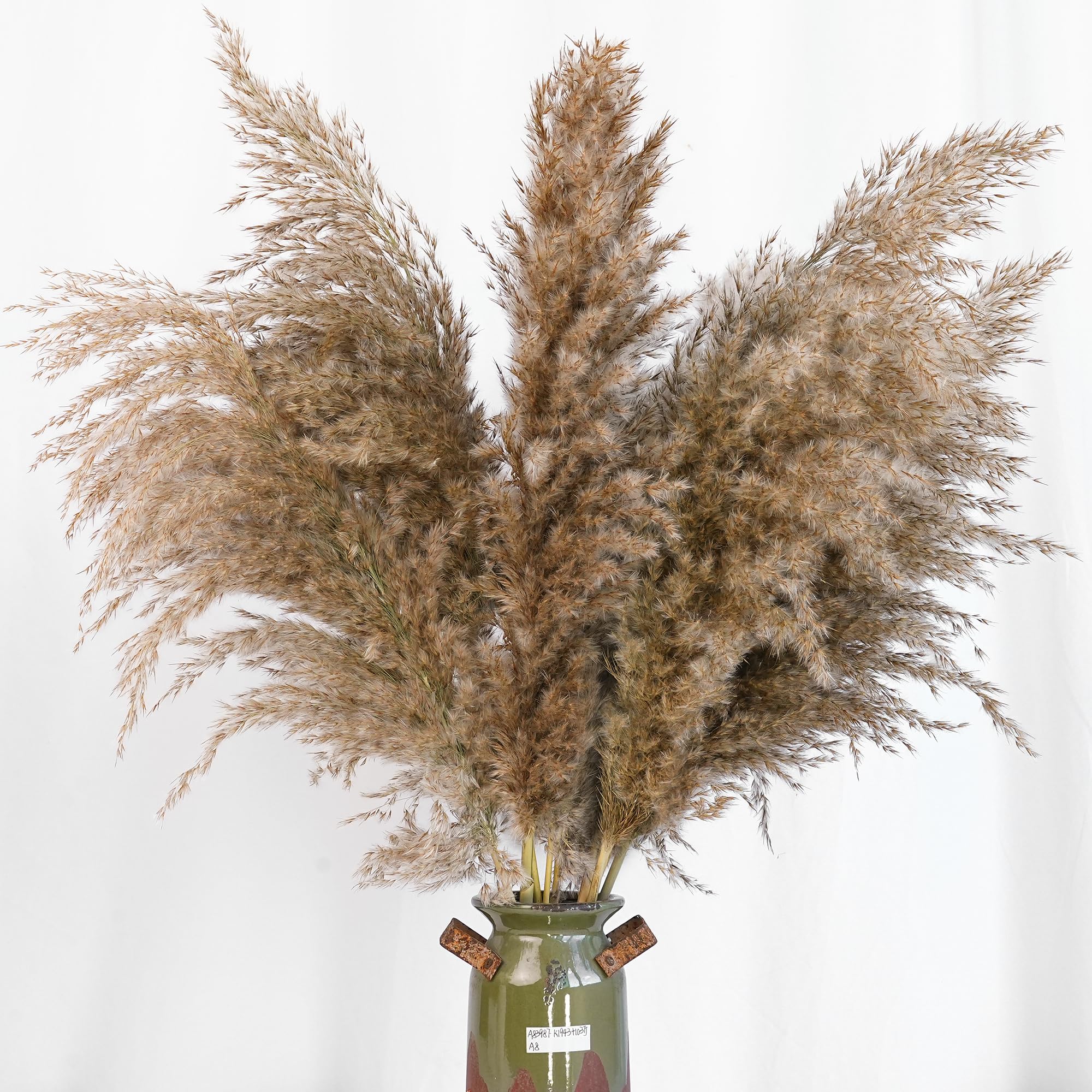 Kocat pampas grass care card with tips to preserve fluff.
