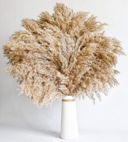 Kocat pampas grass centerpiece perfect for dining tables.
