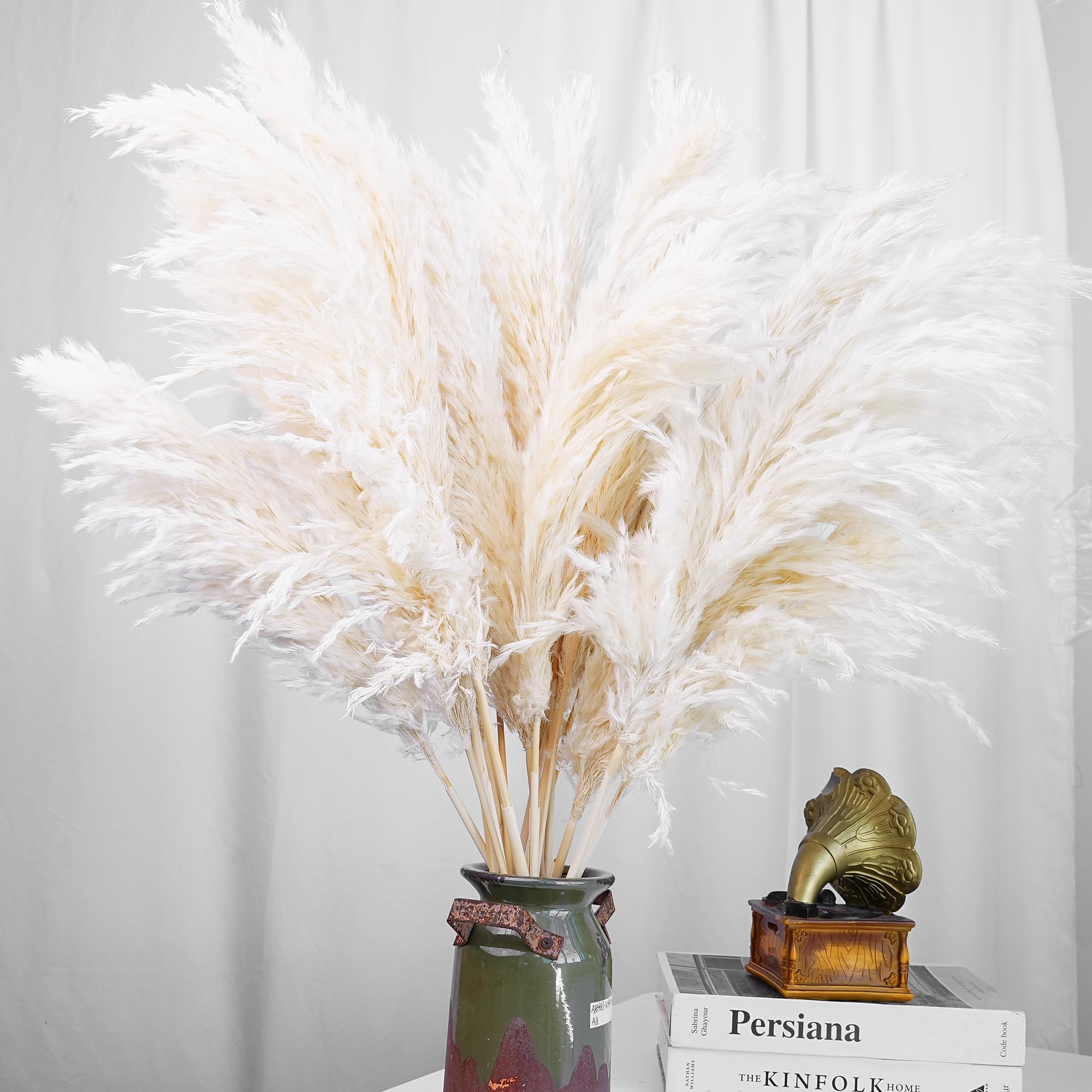 Kocat pampas grass vase filler for shelves and counters, easy to style.