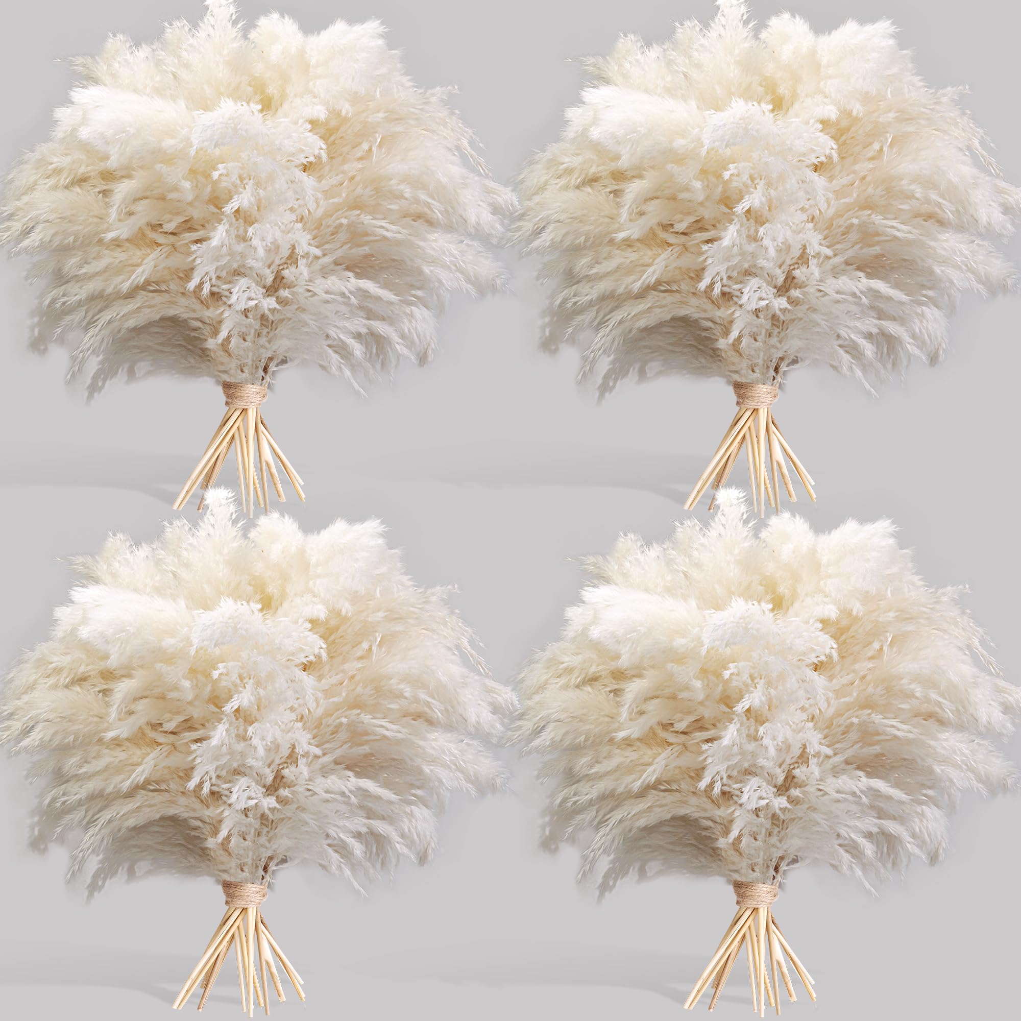 Kocat white pampas grass stems for chic home decor and versatile styling ideas
