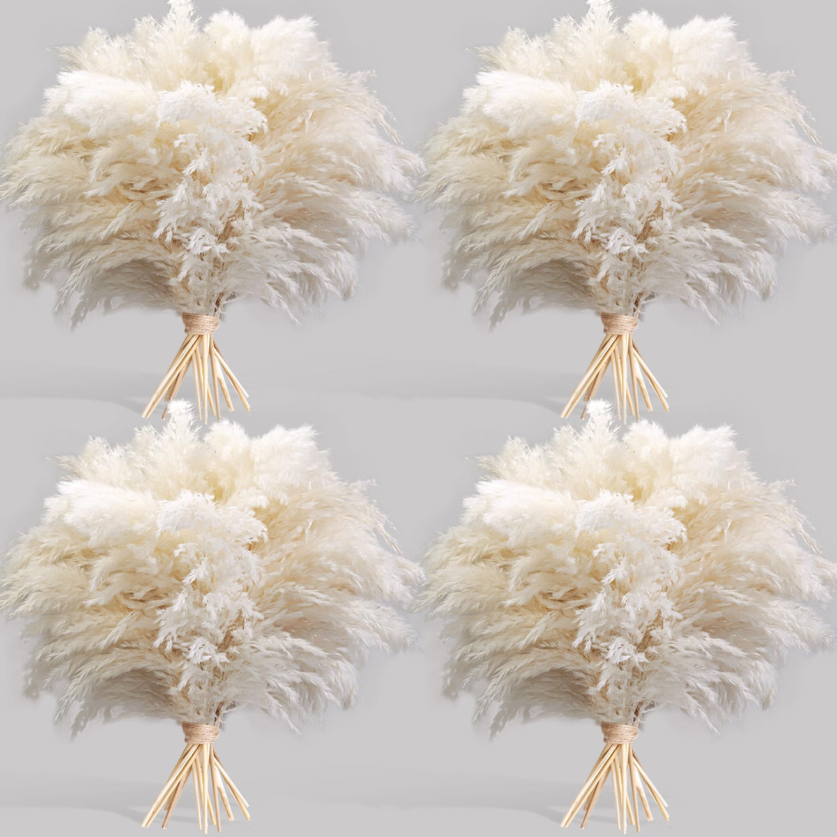 Kocat white pampas grass stems for chic home decor and versatile styling ideas