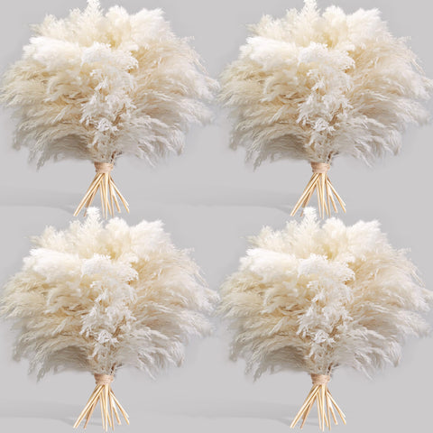 Kocat white pampas grass stems for chic home decor and versatile styling ideas