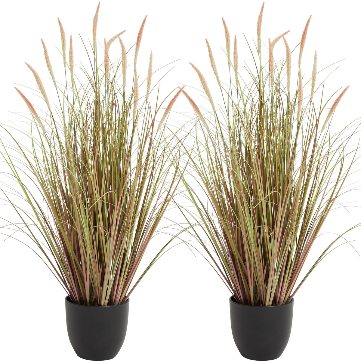 KOL 3ft cattail reed grass in pot adds natural indoor greenery.