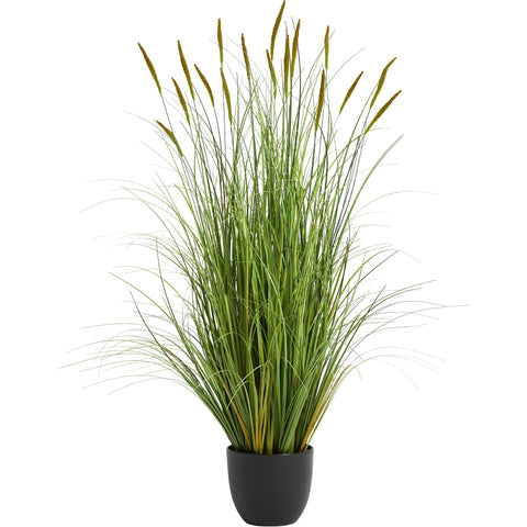 KOL 4ft artificial cattail grass in a pot for versatile home or office décor.