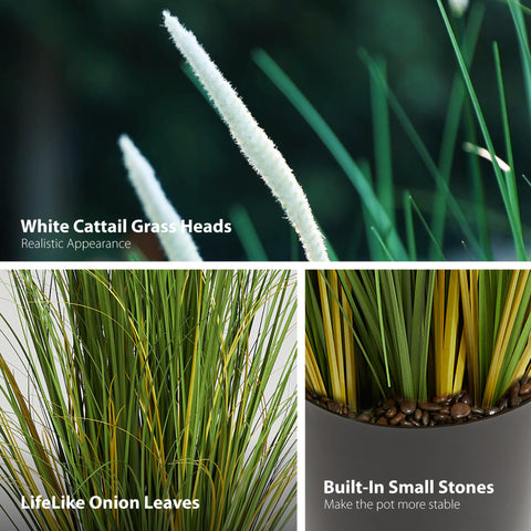 KOL low-maintenance design eliminates watering and pruning chores.