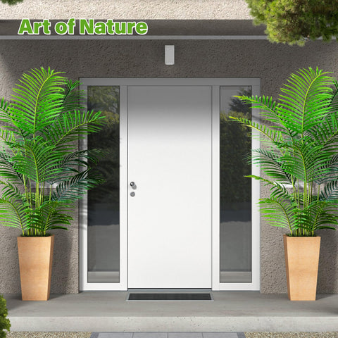KOL areca palm for porch or patio enhances exterior ambiance.
