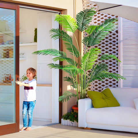 Leaves show varied shade for natural look, great for bright corners and entryways.