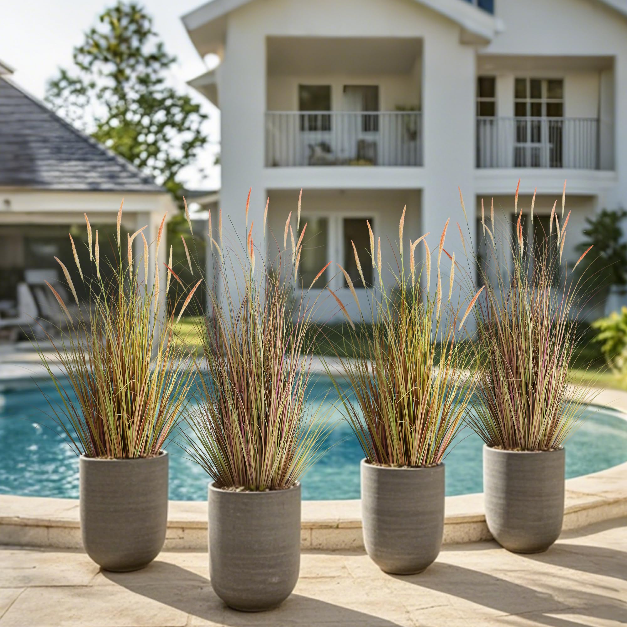 KOL pink cattail reed grass display with low maintenance appeal