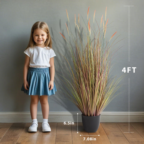 KOL pink patio accent cattail reed grass for outdoor spaces