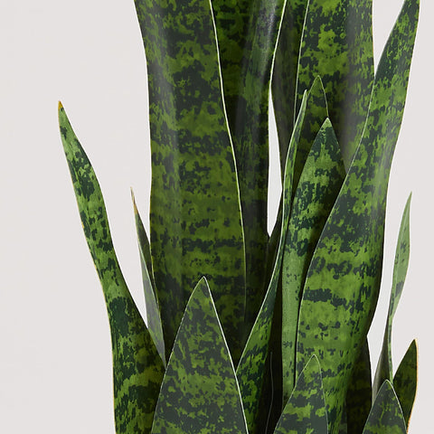 KOL artificial snake plant entryway setup, welcomes guests with greenery.