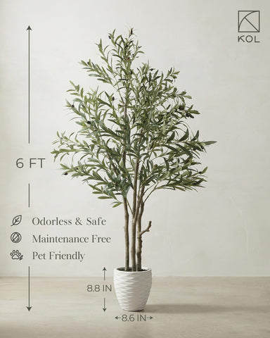 KOL maintenance-free olive tree suits busy households and renters.