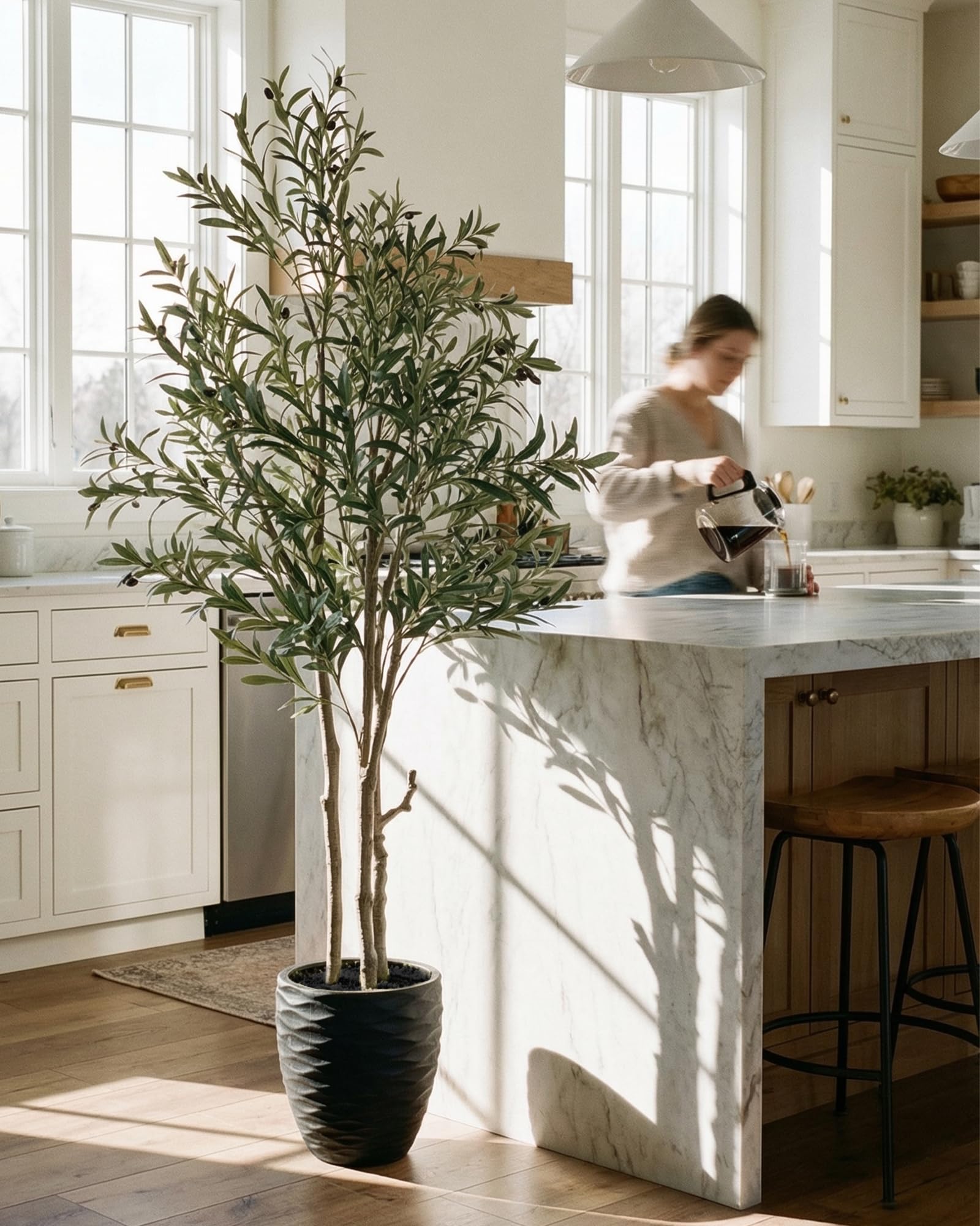 KOL matte pot olive tree provides stable display and sleek foundation.