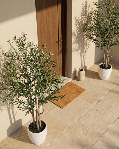 KOL olive tree base and pot create a stylish, stable focal point.