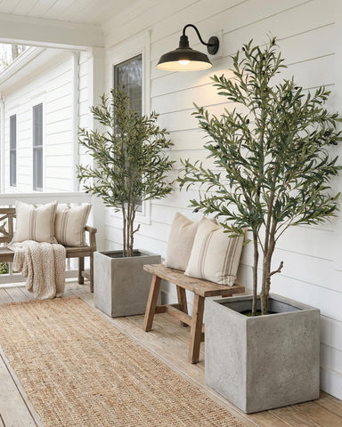 KOL olive tree floor plant suits modern interiors adding instant style.
