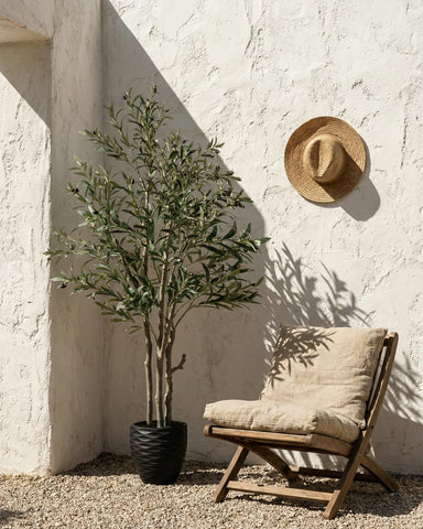 KOL olive tree suits home offices for a calm work ambiance.