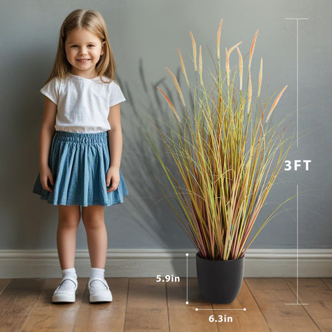 KOL pink-accent cattail grass suitable for weddings and events.