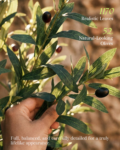 KOL pre-potted olive tree in matte pot provides ready-to-display elegance.