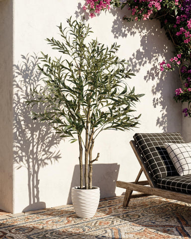 KOL ready-to-display olive tree saves setup time and clutter.