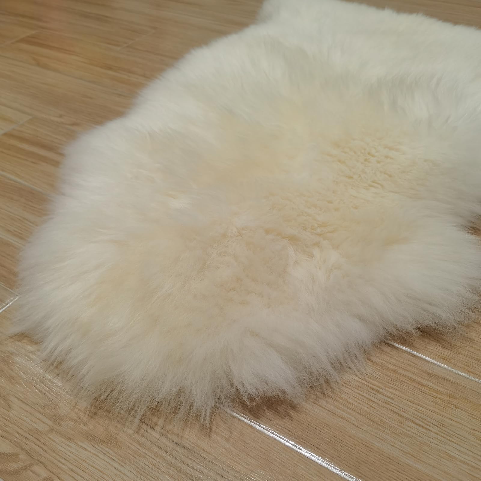 Kopal easy-clean spot clean rug for busy homes.