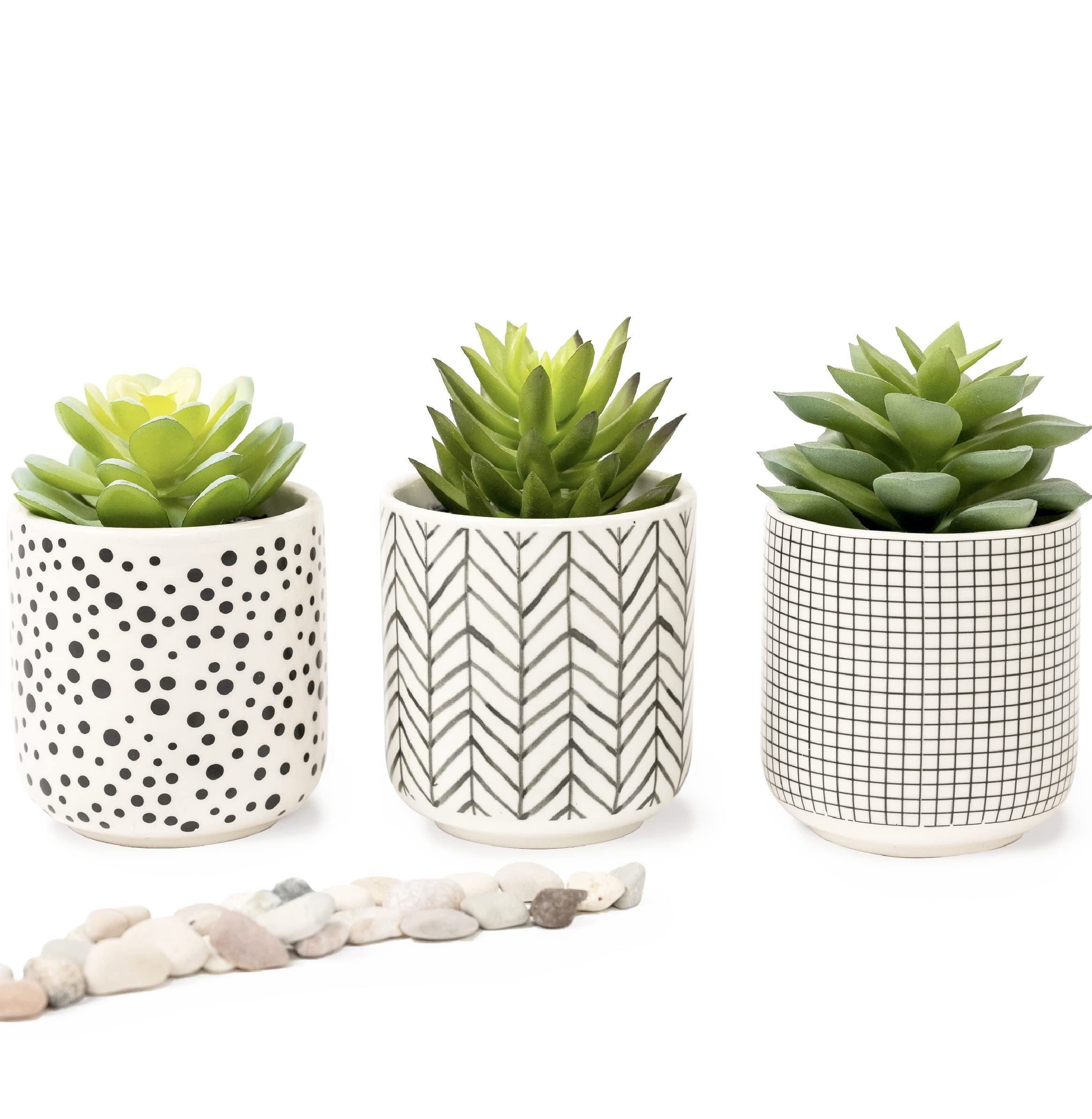 Kurrajong Farmhouse artificial succulents in black and white pots offer low-maintenance desk decor.