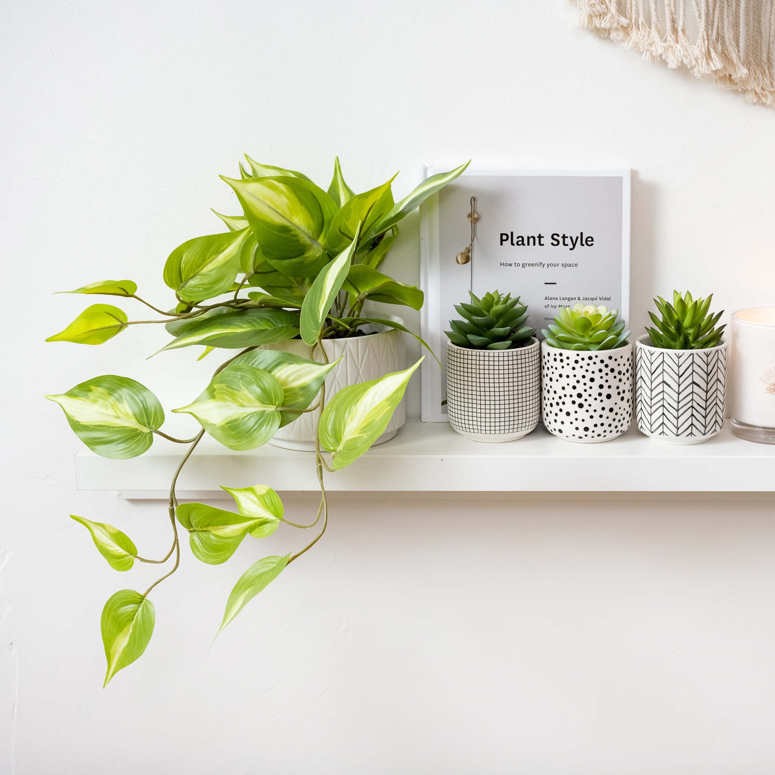 Kurrajong Farmhouse faux succulents in modern pots brighten shelves with effortless styling.